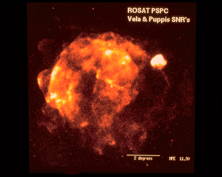 Vela Supernova Remnant in X-ray