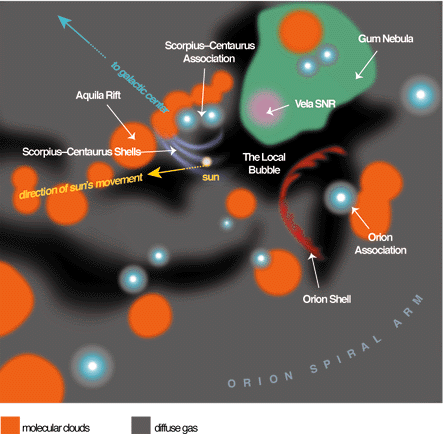 The Local Bubble and the Galactic Neighborhood