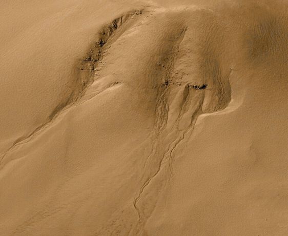 The Gullies Of Mars