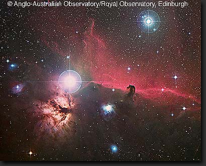 Orion's Horsehead Nebula