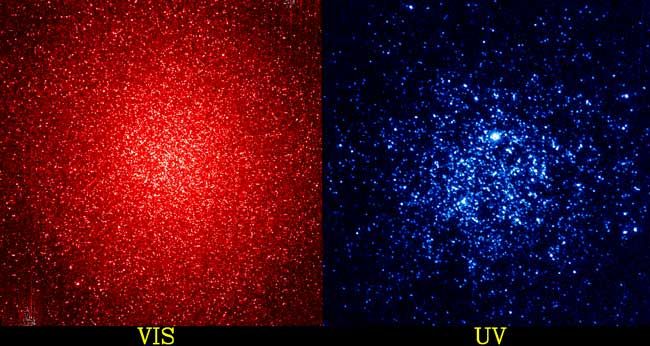 Globular Cluster Omega Centauri