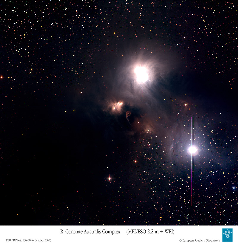 Dust and Gas Surrounding Star R Coronae Australis