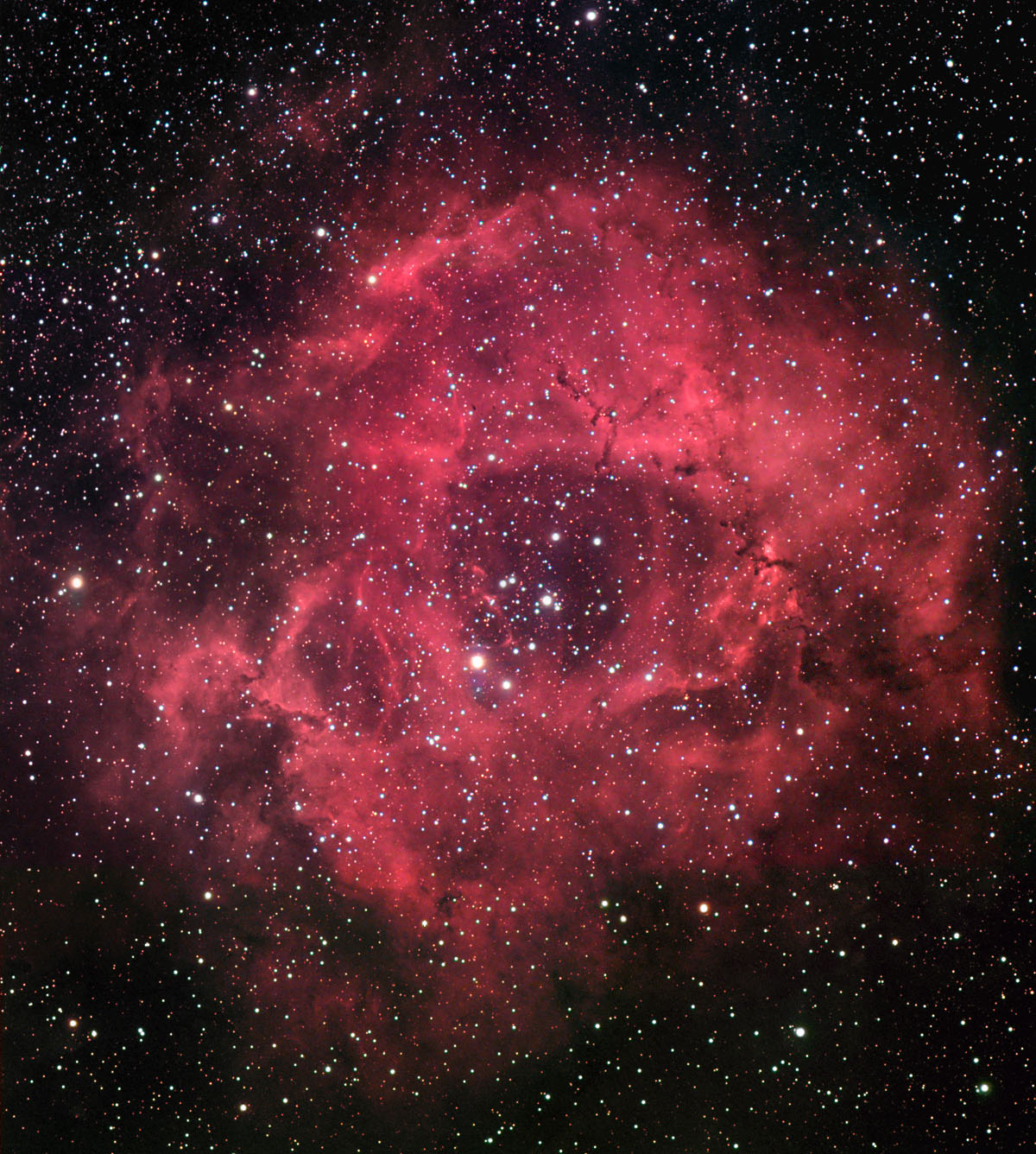 The Rosette Nebula