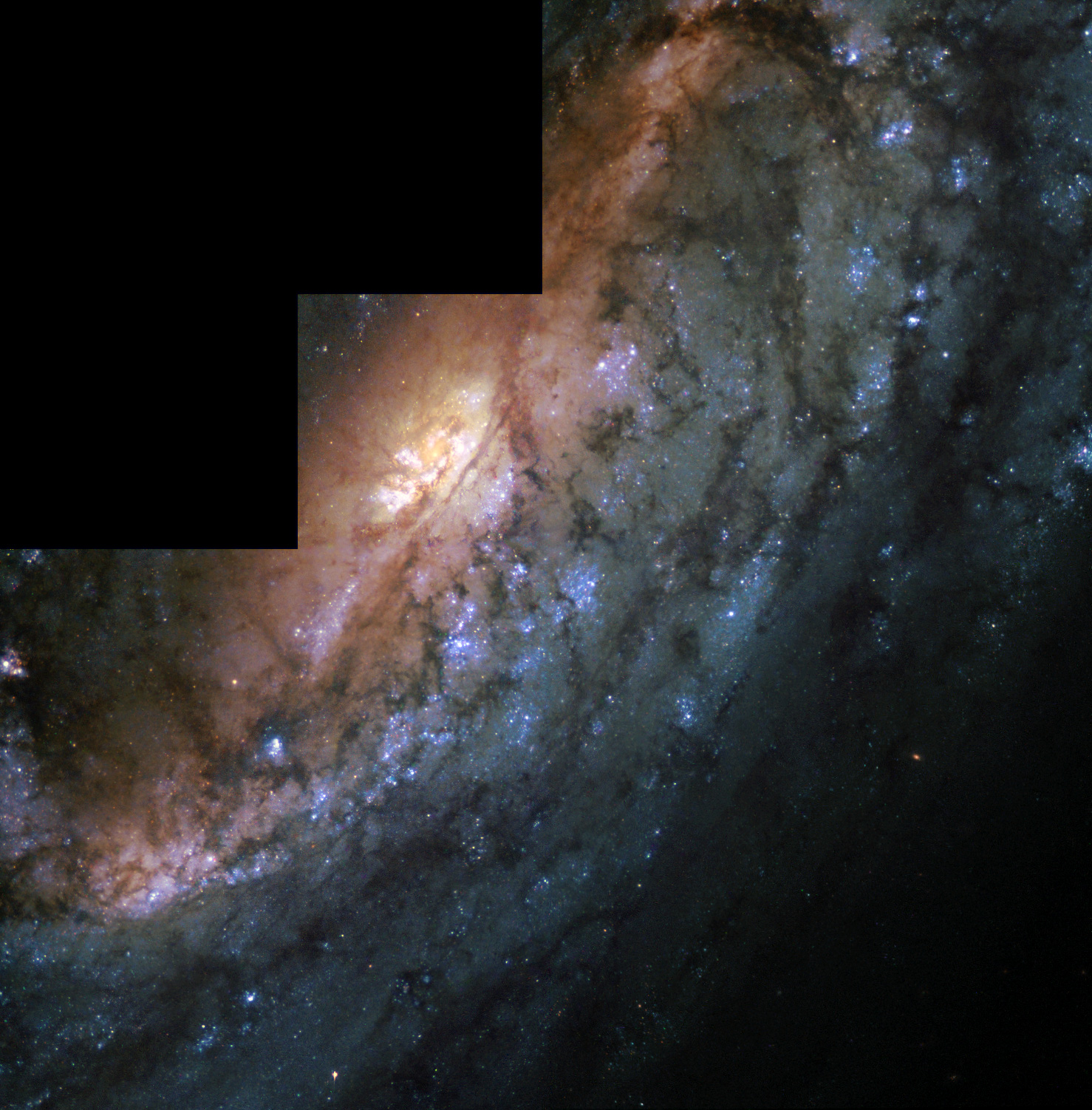 Barred Spiral Galaxy NGC 2903