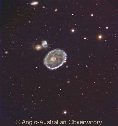 The Cartwheel Galaxy