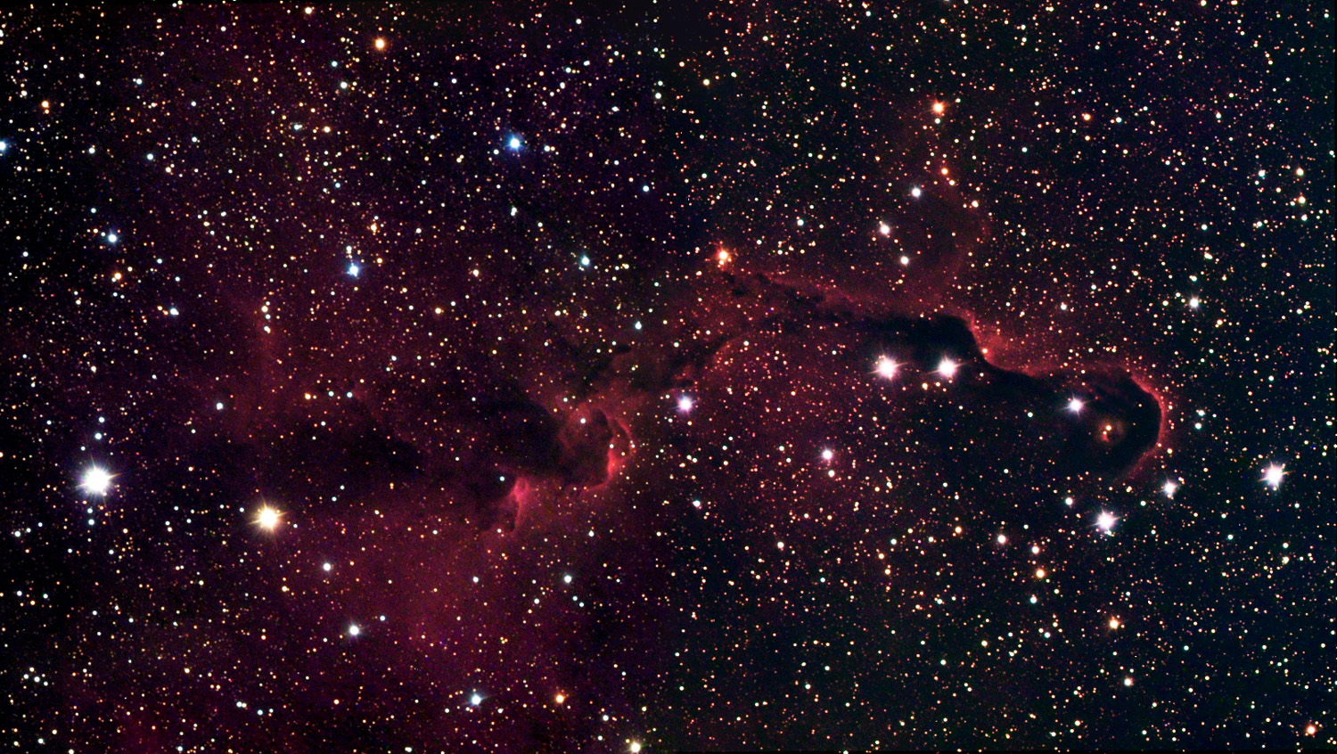 The Elephant's Trunk in IC 1396