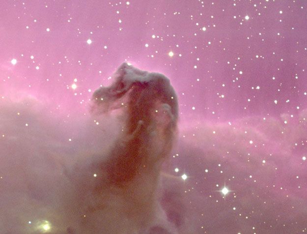 The Horsehead Nebula