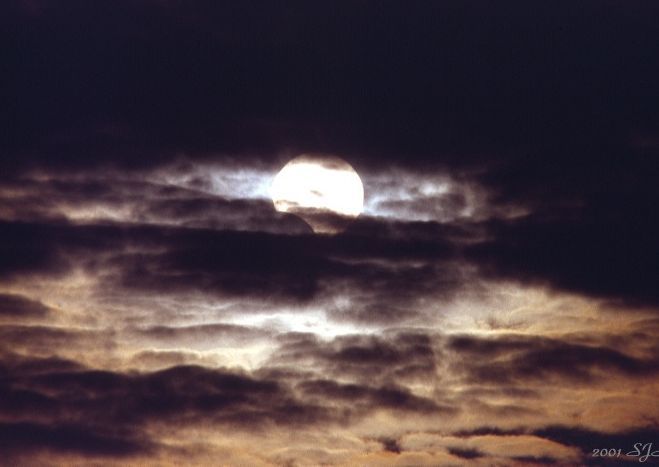 Partial Eclipse, Cloudy Day