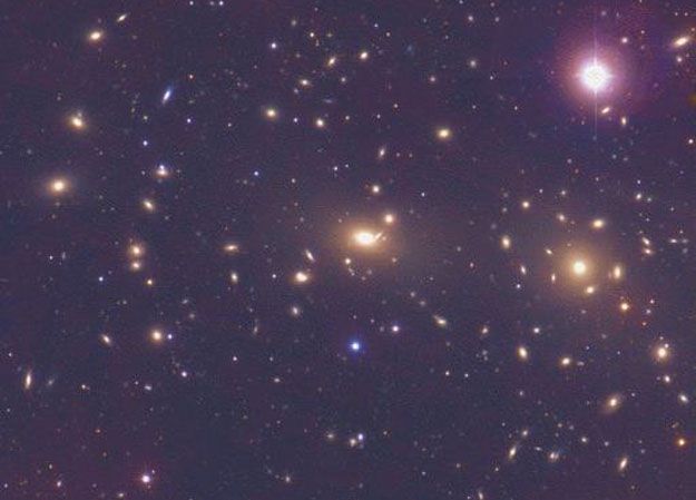 The Coma Cluster of Galaxies