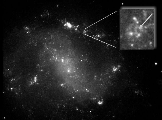 ESO 184-G82: Supernova - Gamma Ray Burst Connection