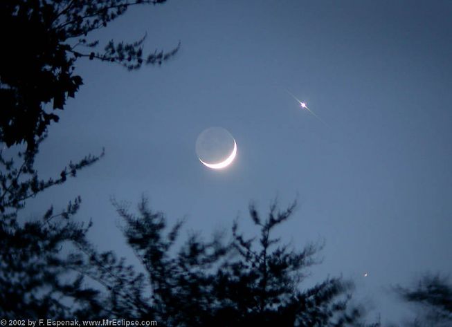Love and War by Moonlight