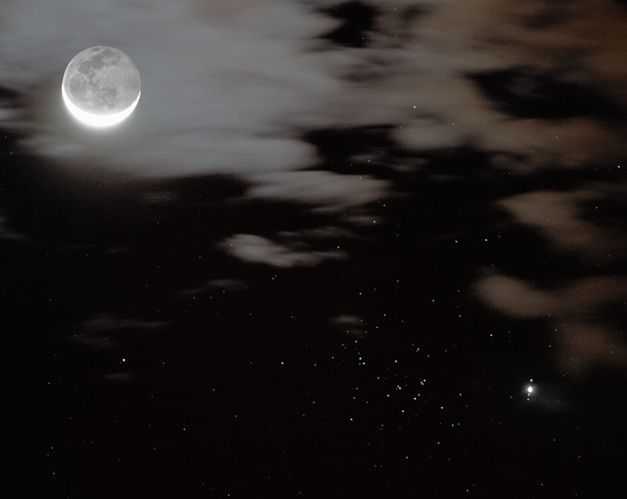 Jupiter, Moons and Bees