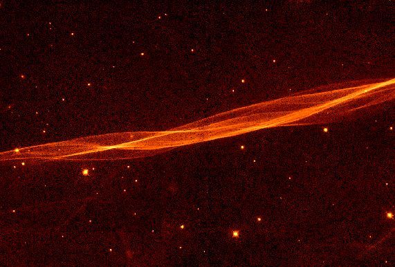 Filaments in the Cygnus Loop