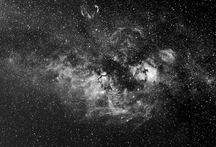 Cygnus Nebulosities