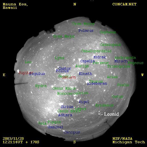 A Late Leonid from a Sparse Shower