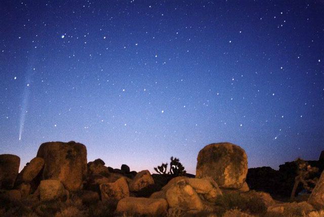 Comets Bradfield and LINEAR Rising