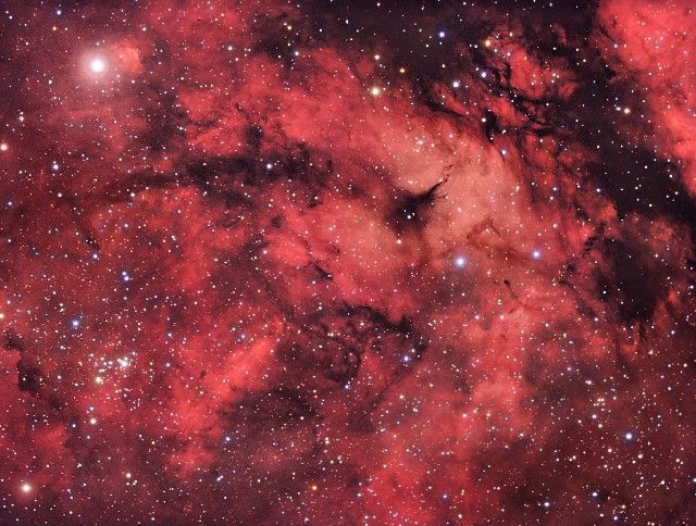A Cygnus Starfield
