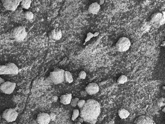 The Unusual Blueberries at Bylot Rock