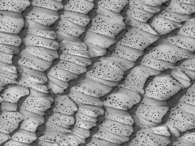 The Dotted Dunes of Mars