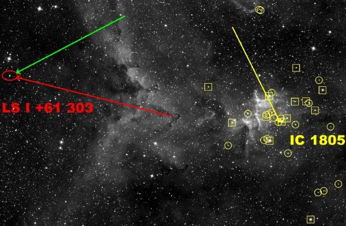 Microquasar in Motion