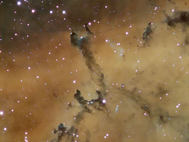 Dust Sculptures in the Rosette Nebula