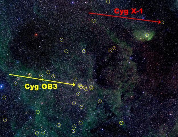 Cyg X-1: Can Black Holes Form in the Dark?