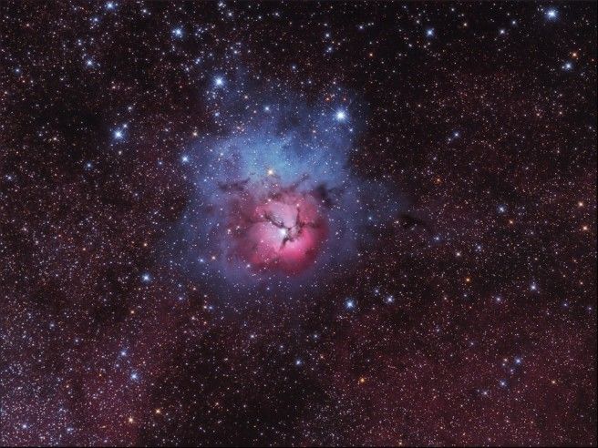 A Beautiful Trifid