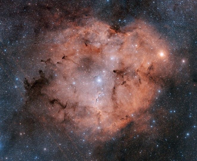 IC 1396 in Cepheus