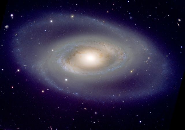Spiral Galaxy NGC 1350