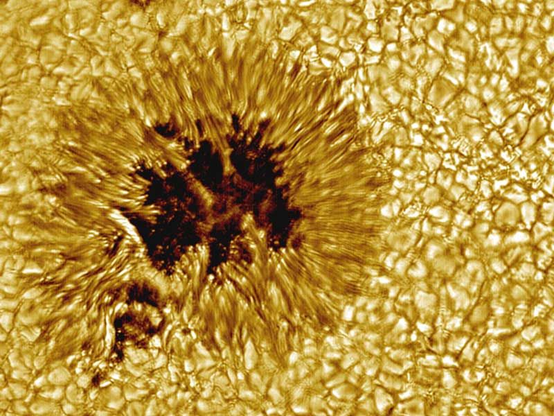 A Sunspot Up Close