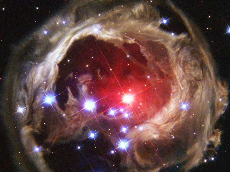 Light Echoes from V838 Mon