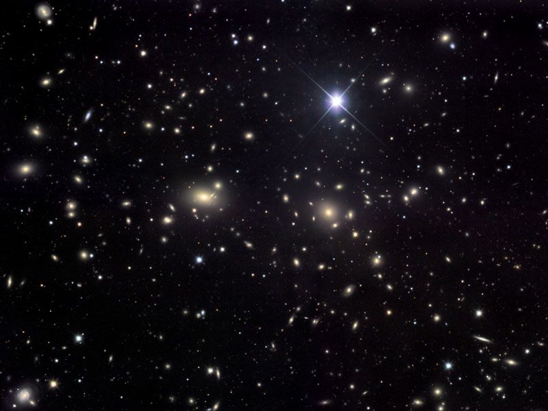 The Coma Cluster of Galaxies