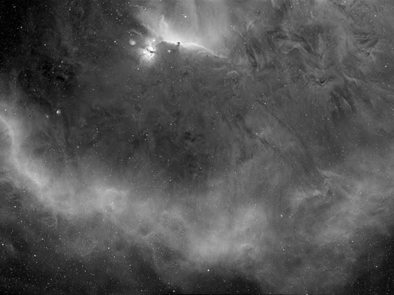 Barnard's Loop around the Horsehead Nebula