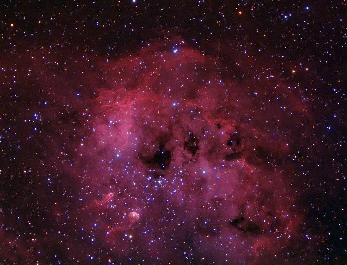 IC 410 and NGC 1893