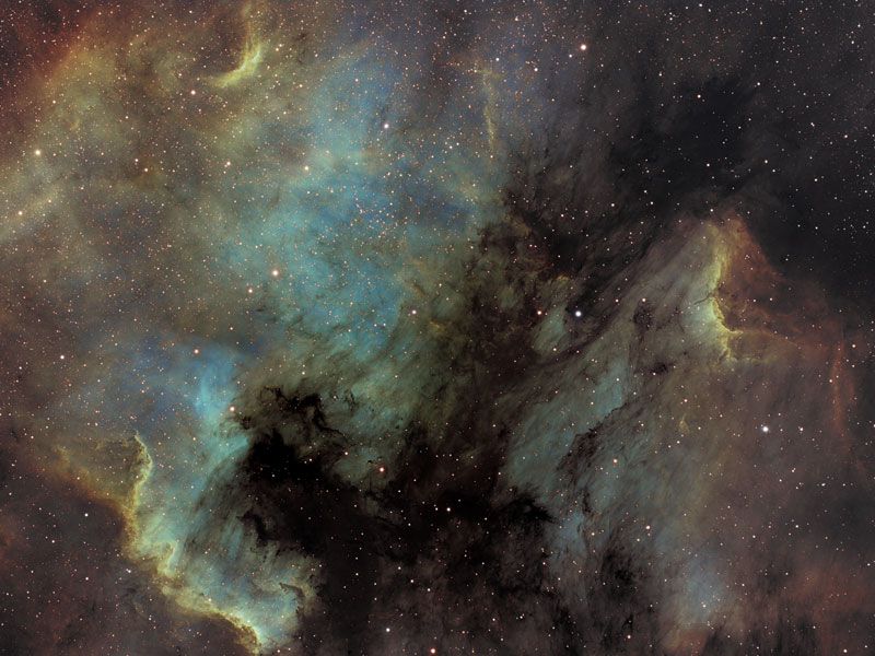 The North America and Pelican Nebulas