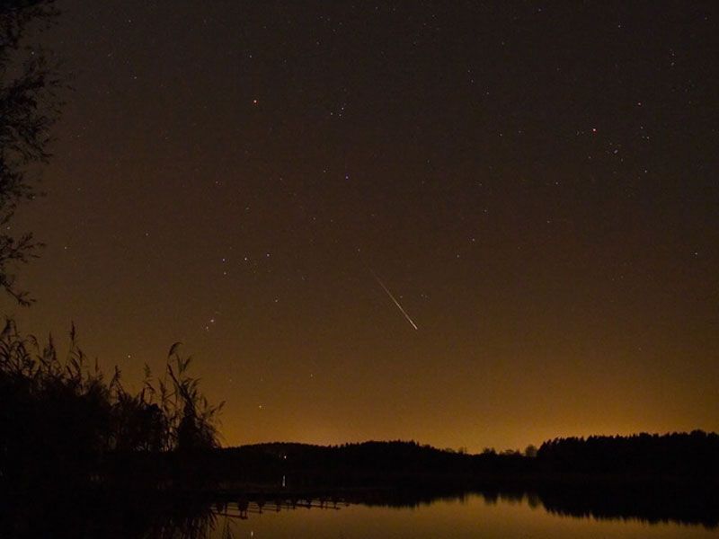 A Leonid Meteor Over Sweden