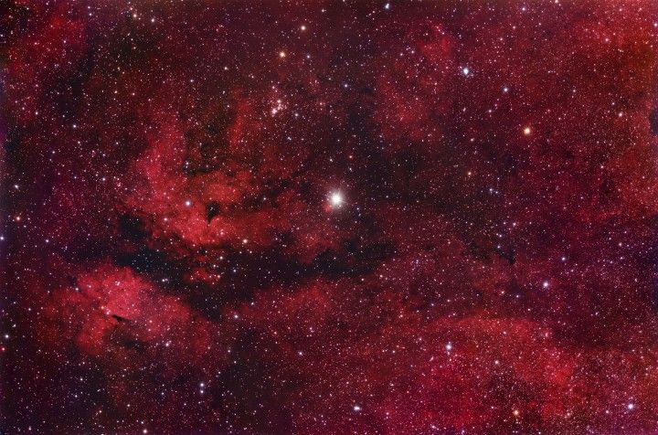 Central Cygnus