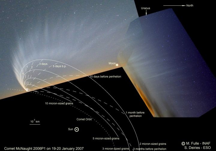 A Tail of Two Hemispheres