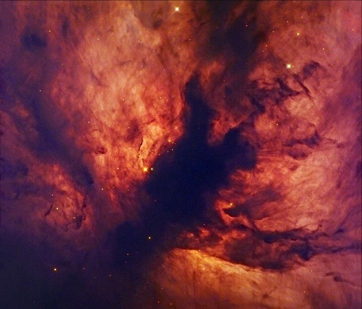 Flame Nebula Close-Up