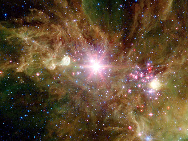 The Snowflake Cluster versus the Cone Nebula