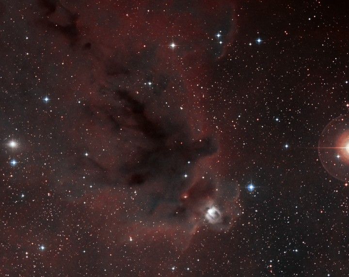 LDN 1622: Dark Nebula in Orion