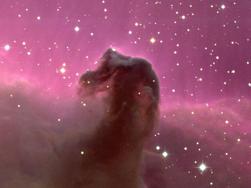 The Horsehead Nebula