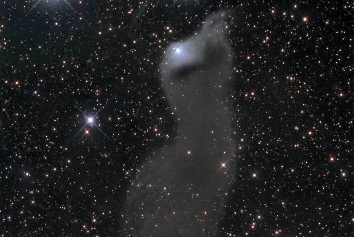 vdB 152: Reflection Nebula in Cepheus