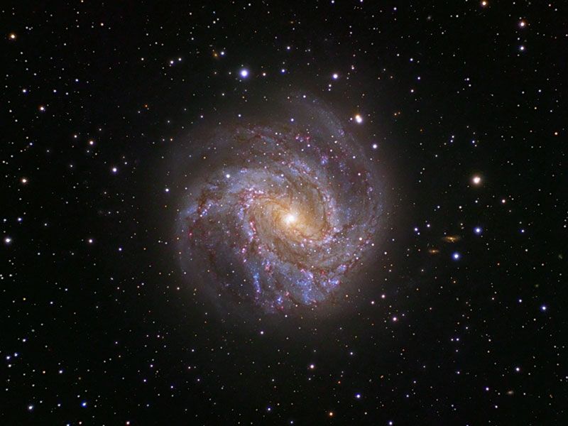 Spiral Galaxy M83: The Southern Pinwheel
