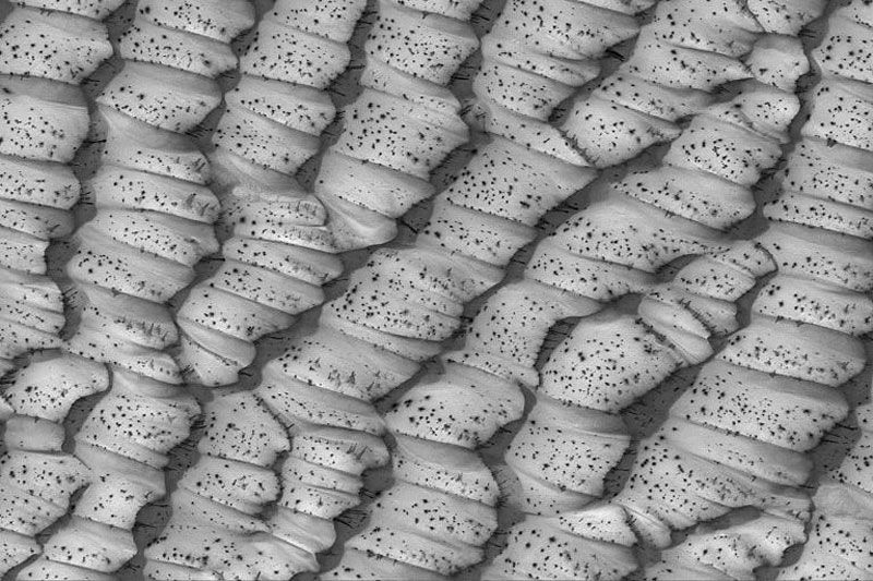 The Dotted Dunes of Mars