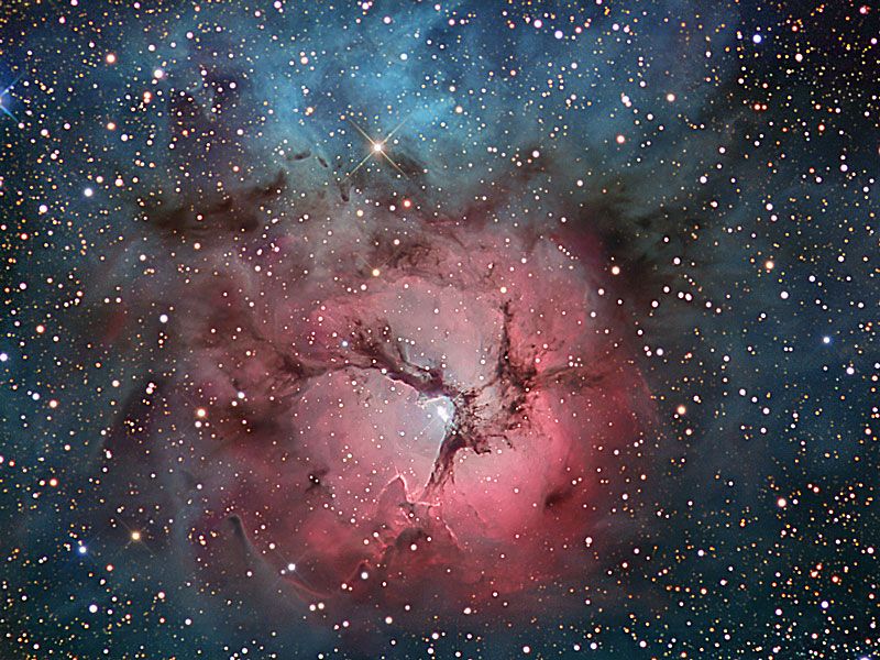 The Trifid Nebula in Stars and Dust