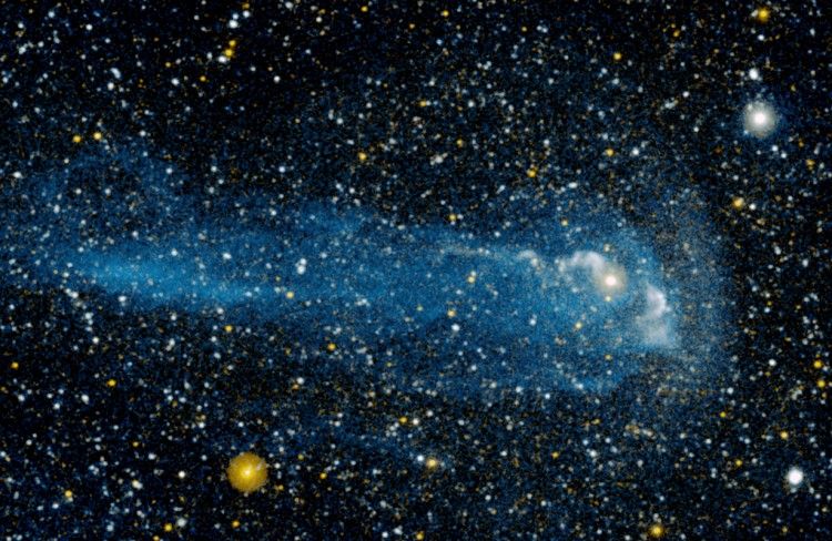 The Tail of a Wonderful Star