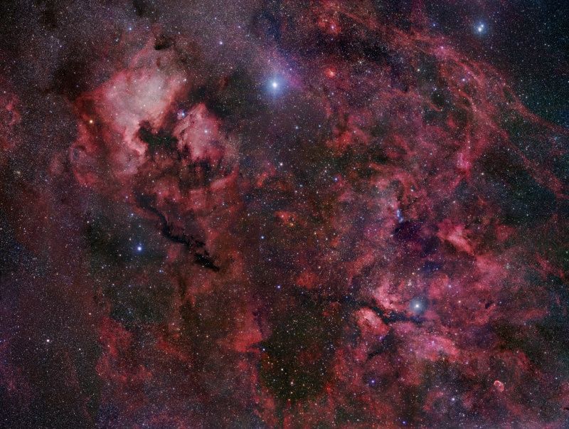 Northern Cygnus