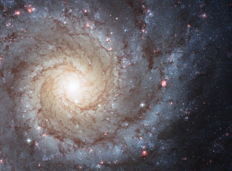 M74: The Perfect Spiral