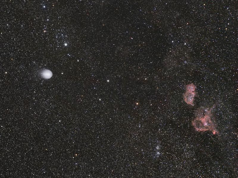 A Year of Spectacular Comets